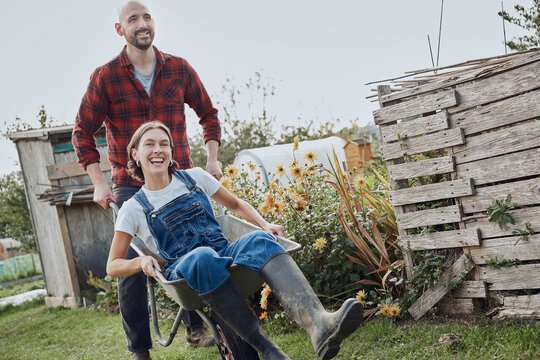 Man pushing woman in wheelbarrow smiling at allotment garden
