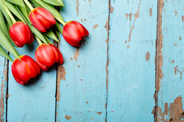 Overhead view of fresh red tulip flowers bunch on blue wooden table with copy space