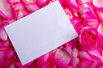 Blank white paper with copy space on fresh aromatic pink rose petals and flowers