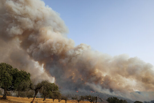 column of smoke lying flat from a forest fire