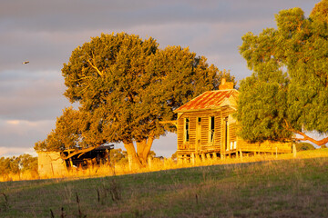 Golden lighting on an old rundown farmhouse flanked by large trees on a hillside