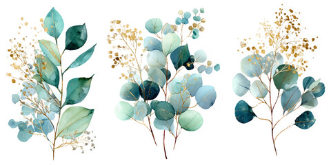 Watercolor eucalyptus branches floral illustration