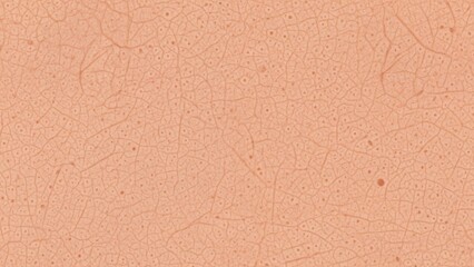 Soft Peach Colored Background Texture.