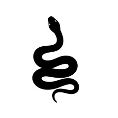 Fototapeta premium Simple and Elegant Silhouette of a Snake Coiled on White Background