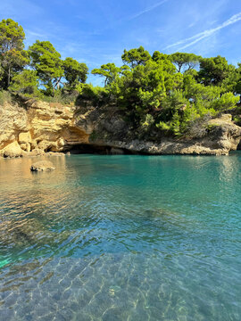 Adriatic sea scenic coastline overgrown pine trees 