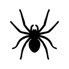 Silhouette of a spider with eight legs on white background