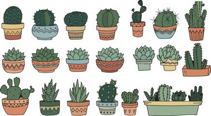 A charming collection of various potted cacti and succulents in colorful decorative planters