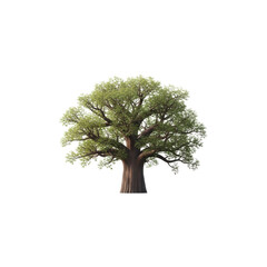 Majestic, solitary tree standing tall against a clear sky