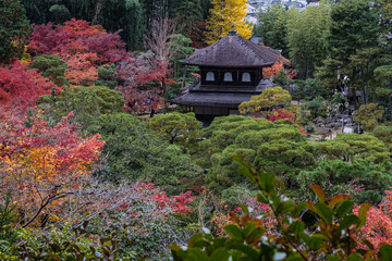 京都府銀閣寺紅葉に包まれる風景