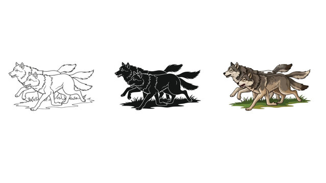 Set of three running wolves illustrations sketch, silhouette and colored drawing with grass