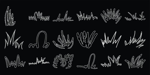 Collection of white line grass and plant black nature © Monoyar