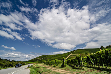 Country road through the vineyards of Barolo in Piedmont Italy. Car along a lonely road between the expanse of vineyards before the grape harvest