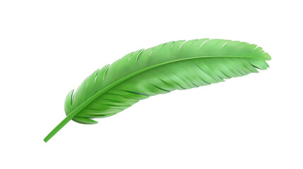 Green feather 3D render icon isolated on white background