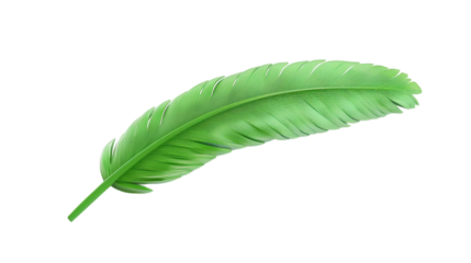Green feather 3D render icon isolated on white background