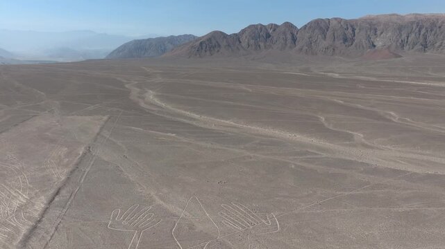 AERIAL of the Lizard (Nasca lines), Peru
