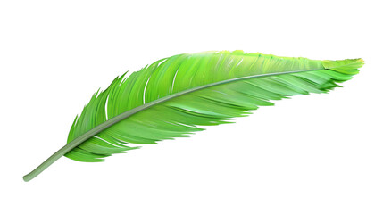 Green feather 3D render icon isolated on white background