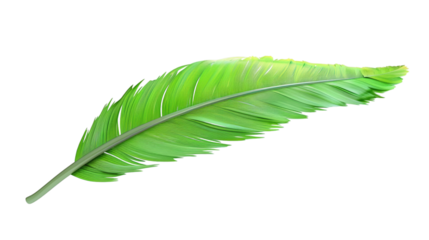 Green feather 3D render icon isolated on white background