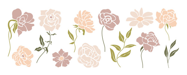 Set of Delicate minimalist floral illustrations in soft pastel tones. Modern flat vector illustrations isolated on transparent background with a romantic aesthetic.