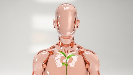 Transparent Human Figure with Plant Growth Vitality Health Nature. Concept featuring transparent, human figure, plant growth, vitality, health.