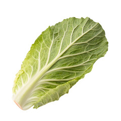 Cabbage leaf isolated on transparent background