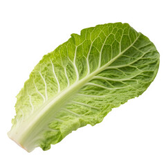 Cabbage leaf isolated on transparent background