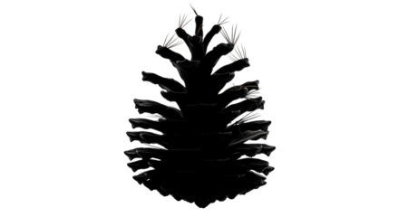 Pinecone outline glowing png isolated transparent background white against black background seed nature