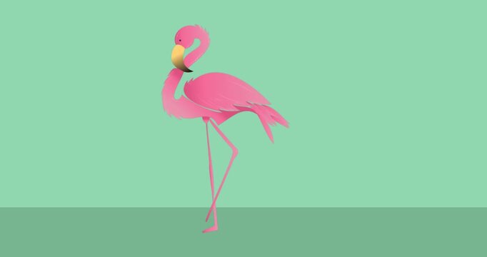 Animation of pink flamingo icon on green black background