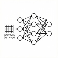 Neural network diagram illustrating input data processing  