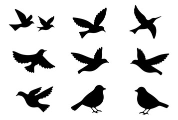 Flying and standing bird silhouettes collection