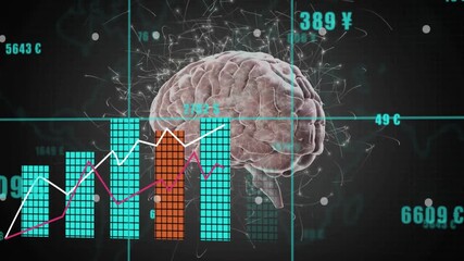 Animation of brain with data charts and currency symbols for financial analysis - Powered by Adobe