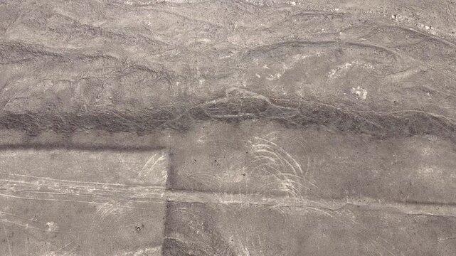 Nasca lines Aerial (owl, fish, bee) in Peru
