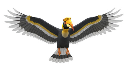 Great Hornbill with Wings Spread