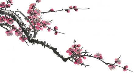 Plum Blossom png Cherry Blossom cutout Oriental Flower png Japanese Bloom cutout Prunus Mume png Floral Branch cutout Asian Art png Spring Flowers