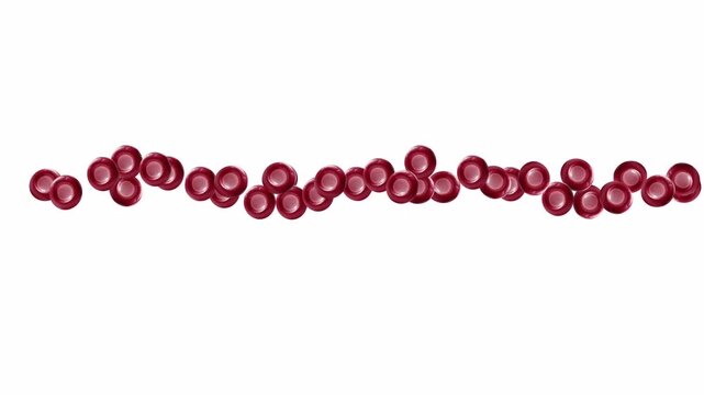Animation of red blood cells flowing smoothly on a clean white background, showing natural shapes and motion, ideal for medical visuals, healthcare concepts, biology, and scientific educational conten