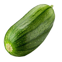 Rough skin cucumber isolated on transparent or white background ,Dog