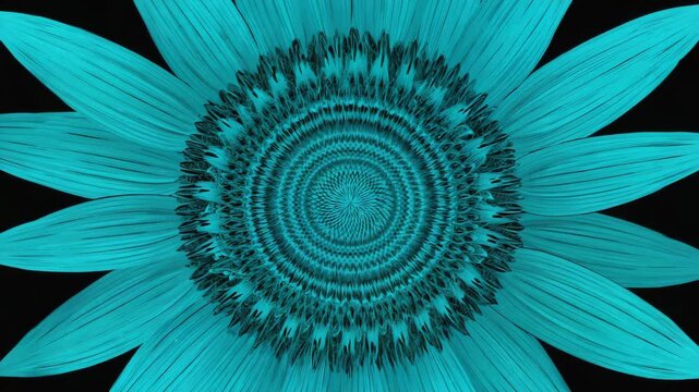A flower rendered entirely in monochromatic shades of cyanslow zoom out 4K
