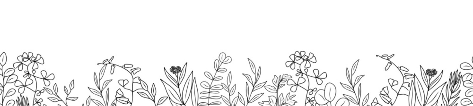 Black and white seamless botanical border with wildflowers and foliage drawn in a minimalist line art style. Vector drawing isolated on transparent background