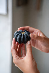  a person's hands holding a small, dark-colored pumpkin or gourd. The pumpkin appears to have a decorative stem on top, and the person's fingers are gently cradling it. The background is slightly blur