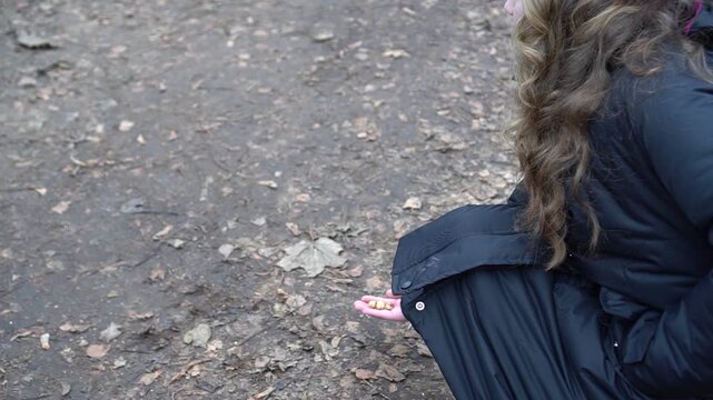 A young girl with red earmuffs crouches in a forest and hand-feeds a small squirrel that comes up to take food from her palm.