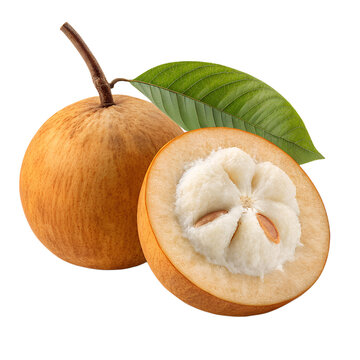 Ultra-realistic single santol fruit isolated on transparent background PNG