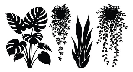 A striking collection of tropical foliage in black silhouette © Rita