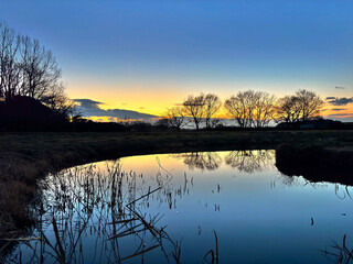 冬の多々良沼にある小沼の夕景