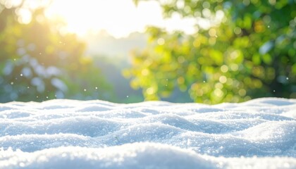 A bright winter landscape featuring a green Christmas tree in the forest snow with holiday bokeh lights and a star under the cold sky for a seasonal celebration card