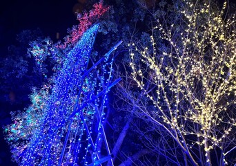 太田市粕川町「町民の森公園」の滝のイルミ2