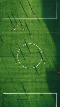 Soccer match on green field at sunset light 