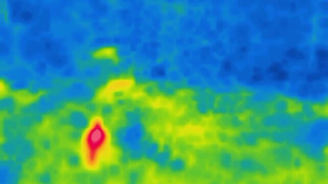 A bird walks on the heated ground, urban pigeons. Image from thermal imager device.