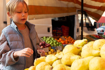 Young boy choosing fresh pears at an outdoor market. Child shopping for healthy food