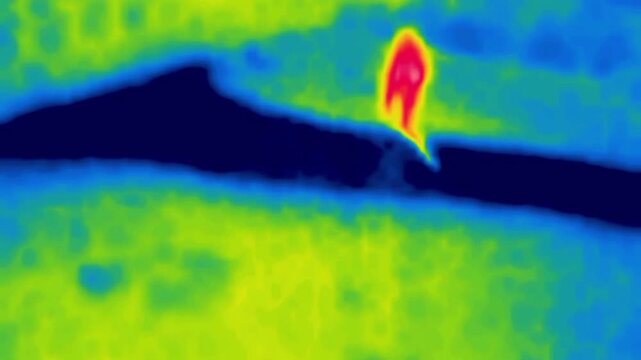 The Playing Monkey. Image from thermal imager device.