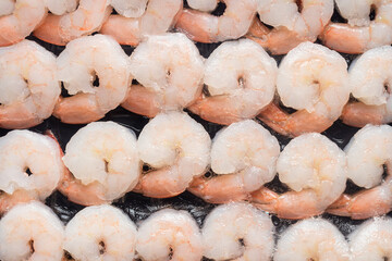 Top view of frozen cooked peeled white shrimp arranged in a rows. 