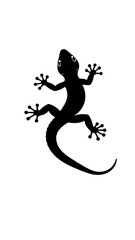 Black silhouette of a small lizard clinging to a white surface